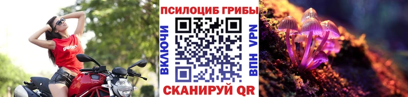 ОМГ ОМГ как зайти  Новая Усмань  Псилоцибиновые грибы прущие грибы 